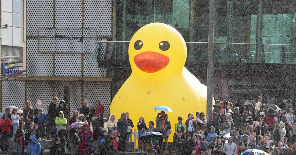 Giant inflatable duck